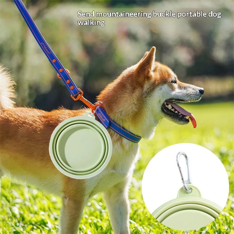 Tazón de Silicona Plegable 2 e - Collapsible Water Bottle reseña y precio